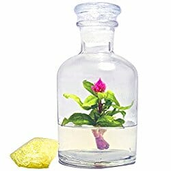 mini desk terrarium with a flower