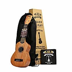 learn ukulele pack