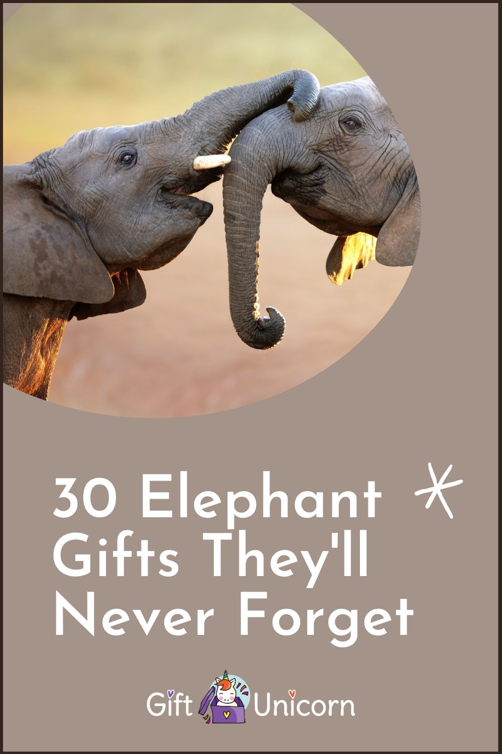 30 Elephant gift ideas pin image