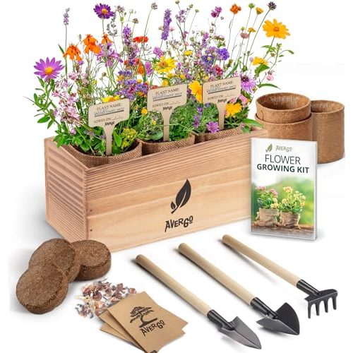AVERGO Wildflower Seed Growing Kit