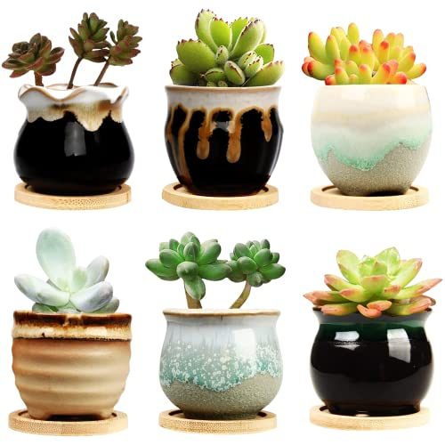 Brajttt Ceramic Succulent Pots