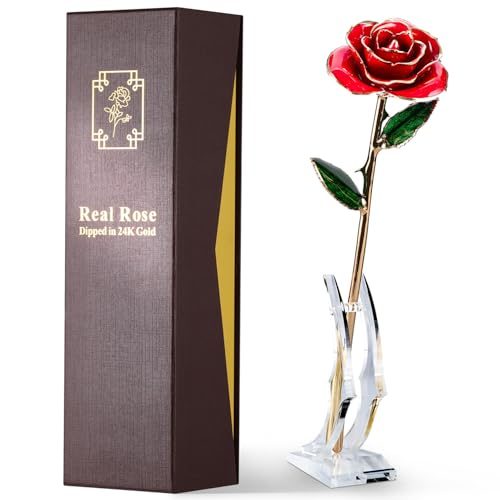 ECO SPACE 24K Gold Dipped Real Rose