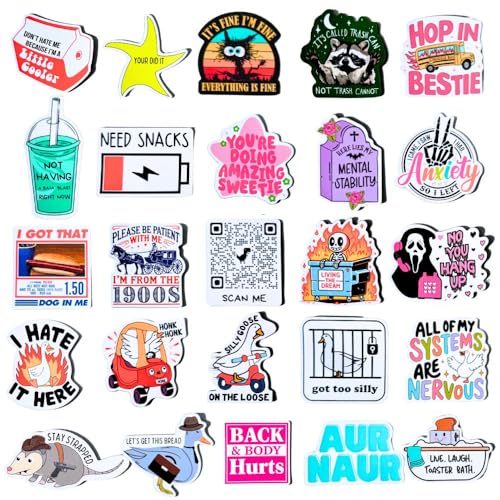 Funny Refrigerator Meme Magnets Set