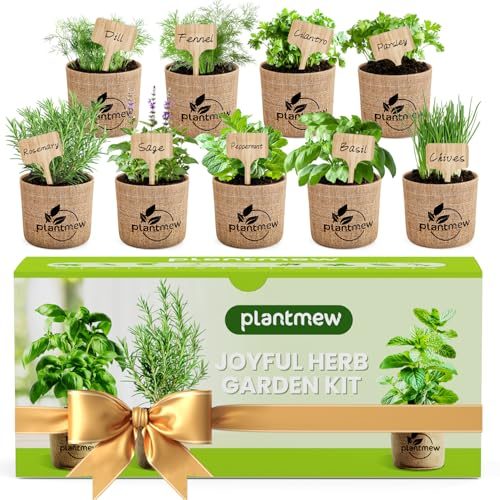 Indoor Window Herb Garden Kit