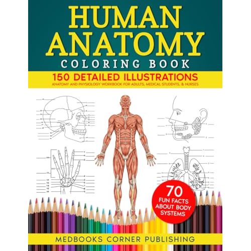 Human Anatomy Coloring Book