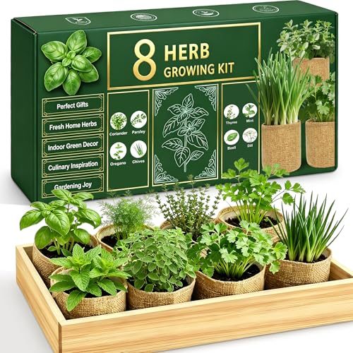Indoor Herb Garden Starter Kit