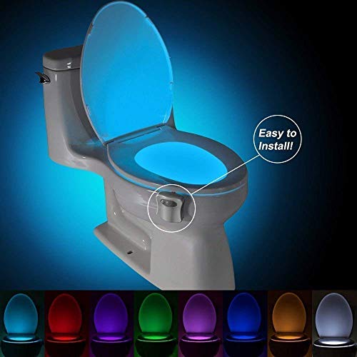 LED toilet night light