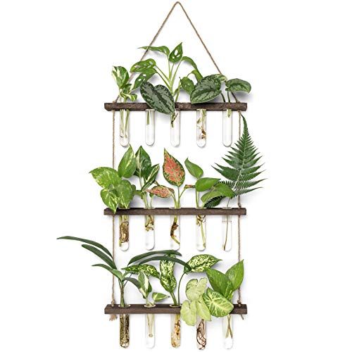 Mkono Wall Hanging Plant Propagation Tubes