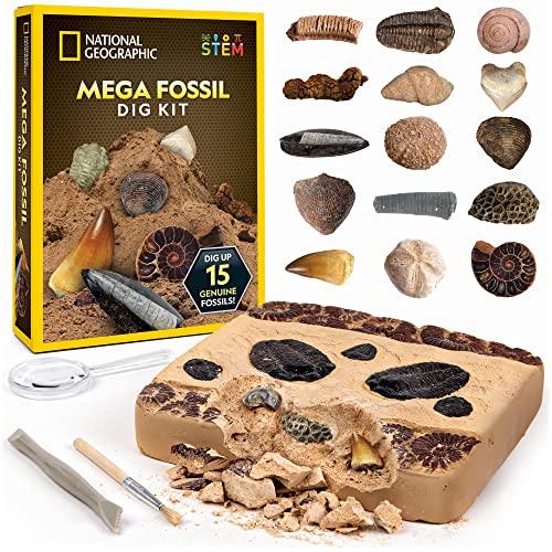 NATIONAL GEOGRAPHIC Mega Fossil Dig Kit - Excavate 15 Real Fossils, Educational