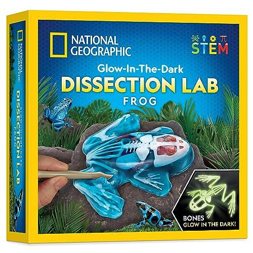 National Geographic Glow-in-the-Dark Frog Dissection Kit for Kids