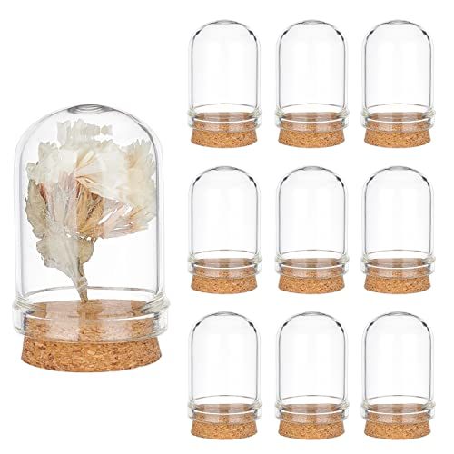 PandaHall Mini Cloche Bell Jar Set