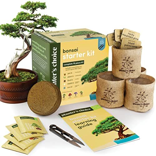 Planter's Choice Bonsai Tree Starter Kit