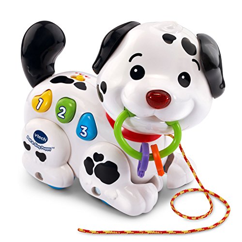 pull and sing puppy
