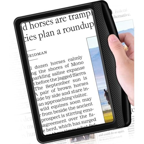Rechargeable Magnifying Glass with Light