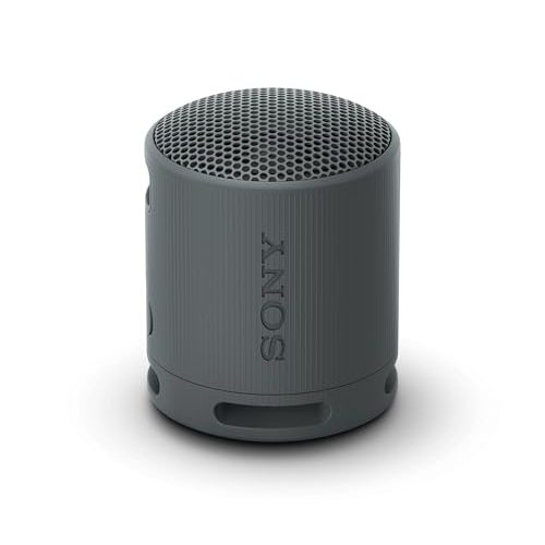 Sony SRS-XB100 Portable Bluetooth Speaker