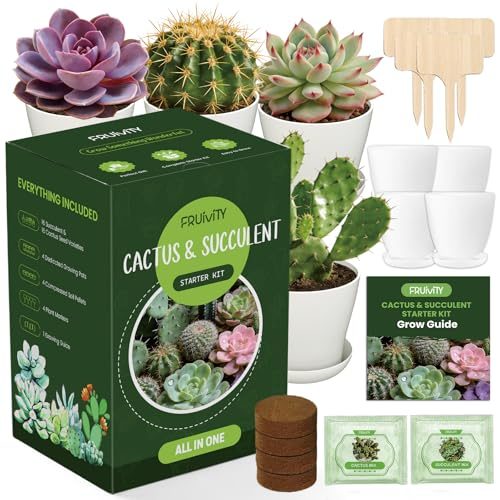Succulent & Cactus Seed Starter Kit