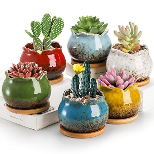 TOPZEA Glazed Ceramic Succulent Pots