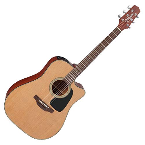 Acoustic guitar with case