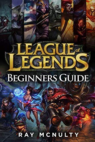 beginners guide book