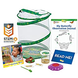 butterfly garden habitat