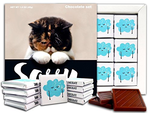 candy souvenir SORRY chocolate