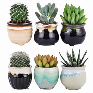 ceramic planters