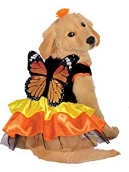 costume for pets
