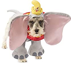 pet costume