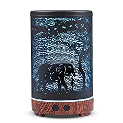 essential oil diffuser