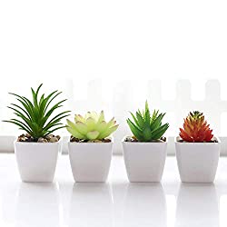 fake succulent plants