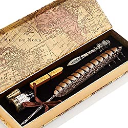 feather writing quill with nibs