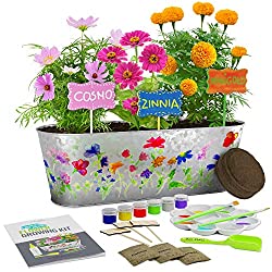 flower growing kit