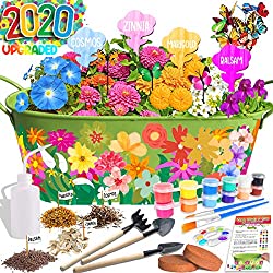 flower planting growing kit