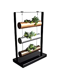 garden planting cylinder