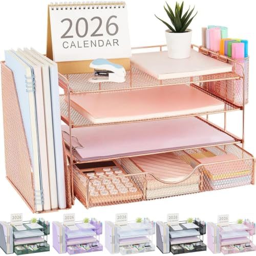 gianotter Rose Gold Desk Organizer