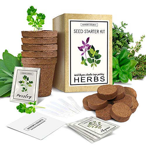 herb garden starter kit