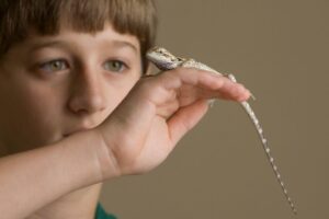 boy with a lizard