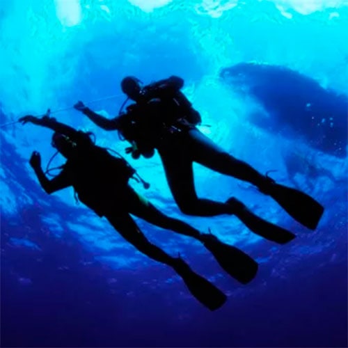 learn to scuba dive