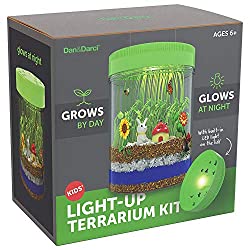 light up terrarium