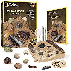 mega fossil dig kit