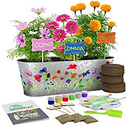plant flower growing kit