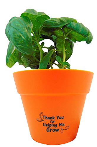 plant pot set
