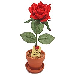 potted paper desk rose