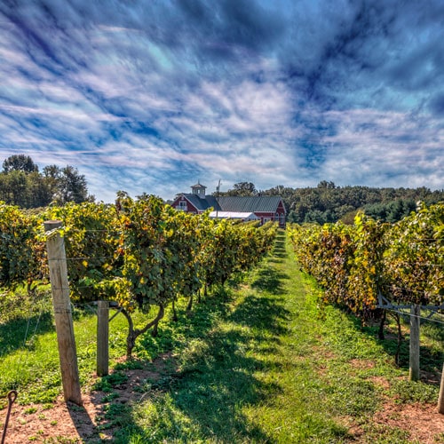 private wine education tour