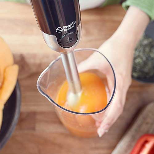 promix immersion blender