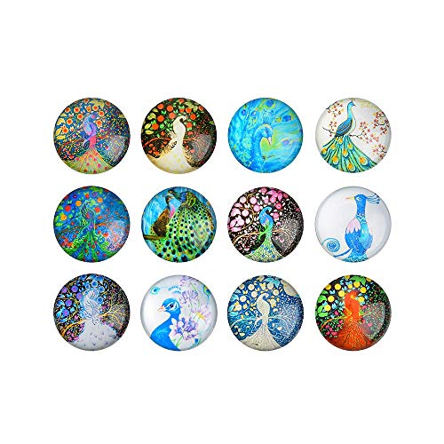 refrigerator magnets