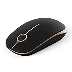mouse