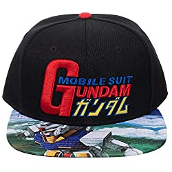 snapback hat