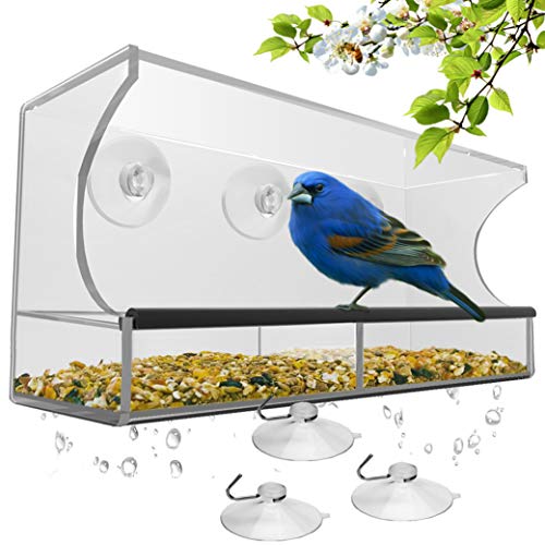 window bird feeder