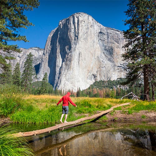 yosemite national park tour